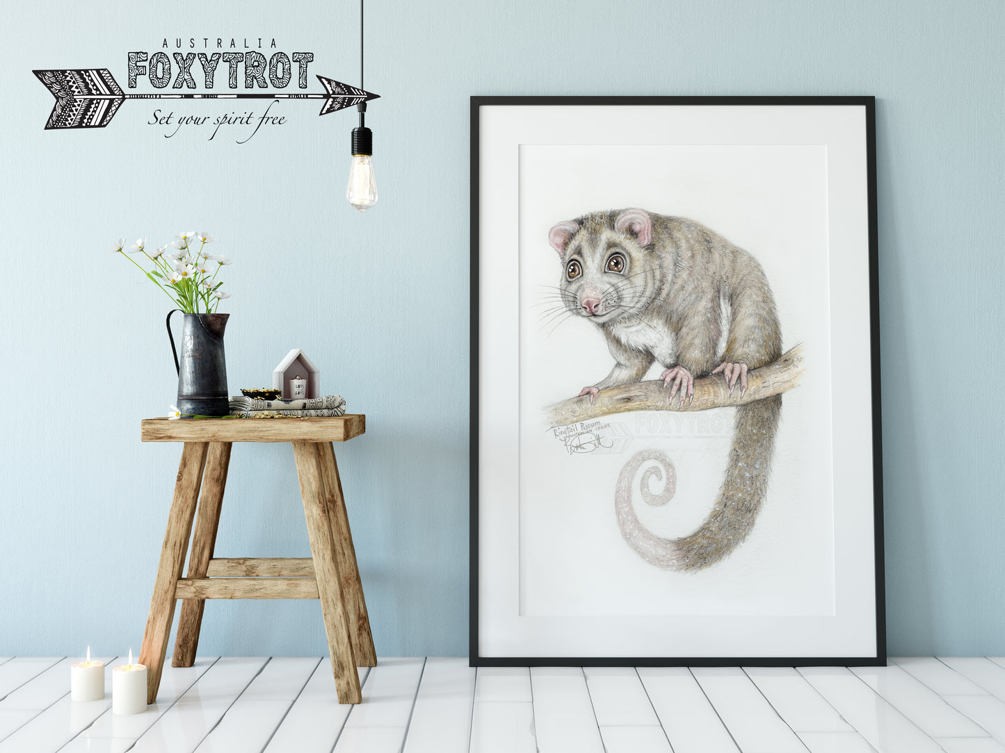 Ringtail Possum