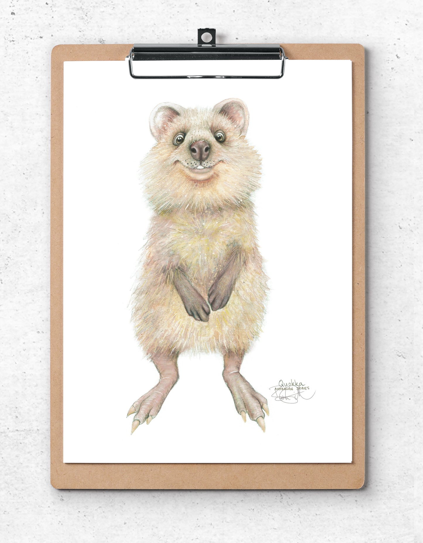 Quokka