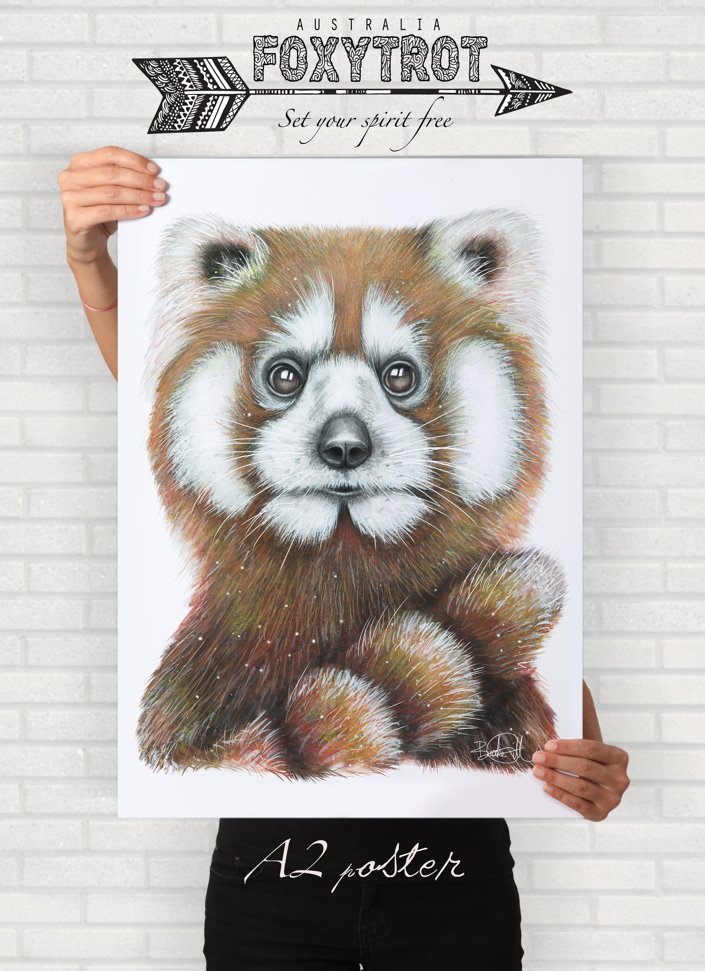 Mr Red the Red Panda