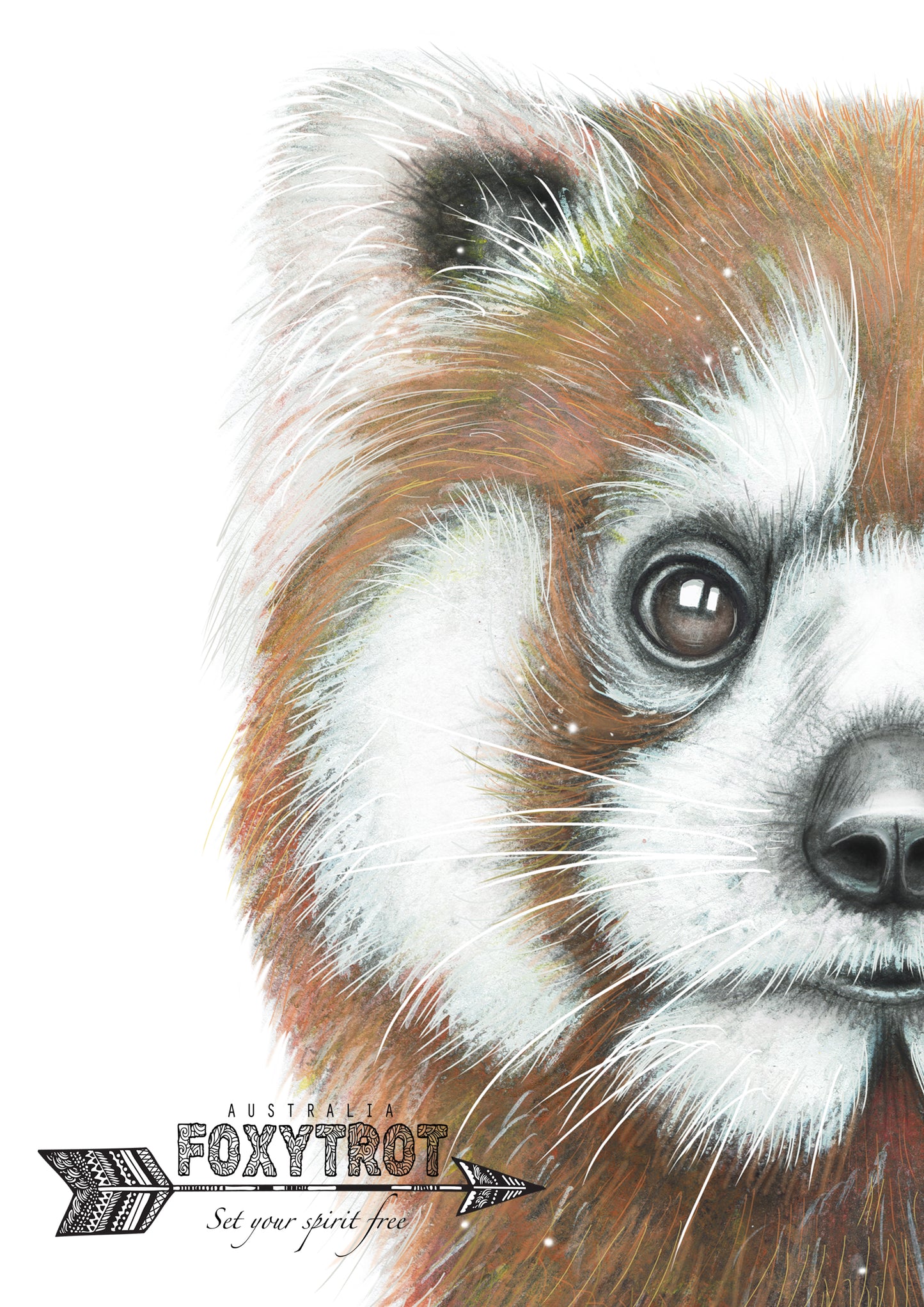 Mr Red the Red Panda