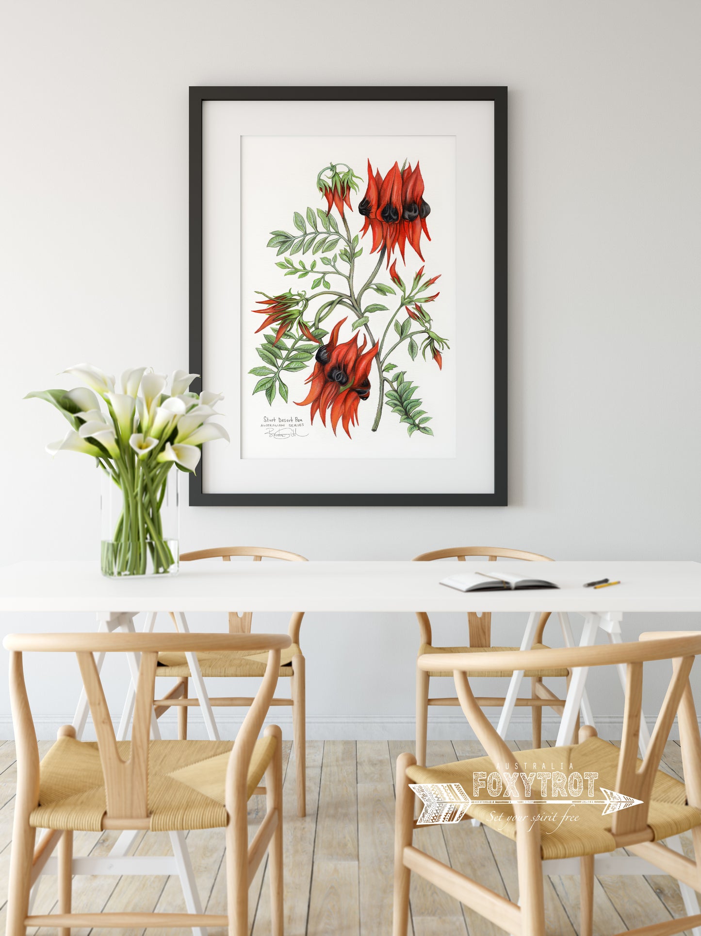 Sturt Desert Pea