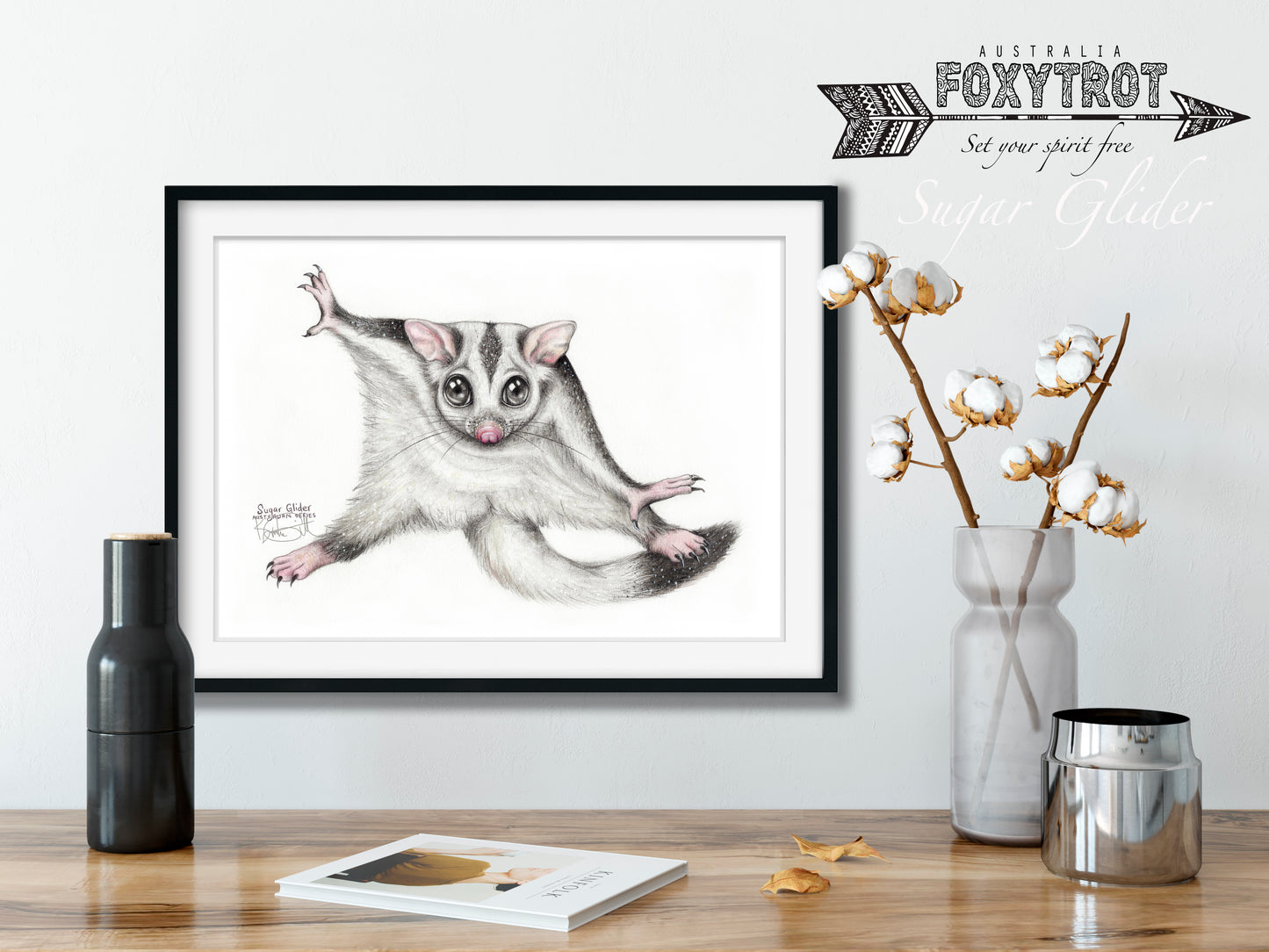 Sugar Glider