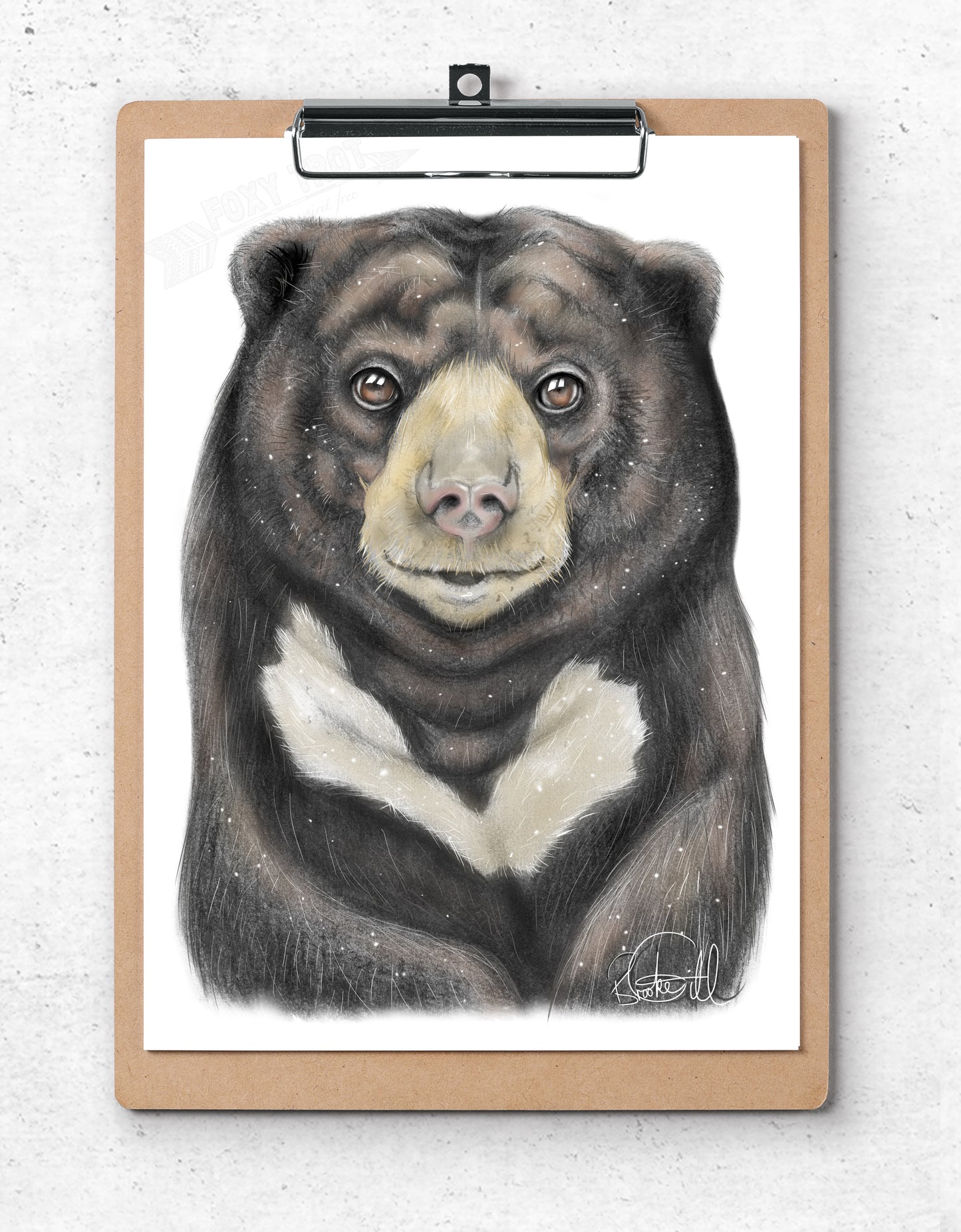 Sonny the Sun Bear