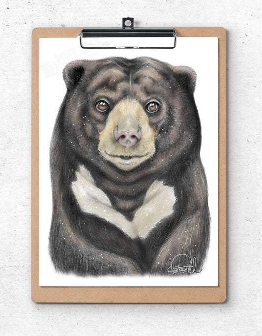 Sonny the Sun Bear