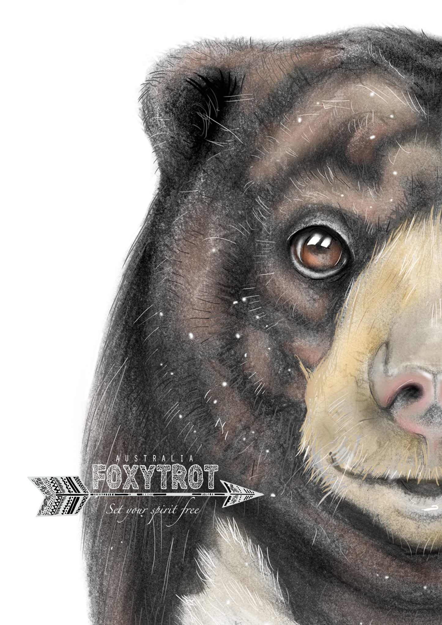 Sonny the Sun Bear