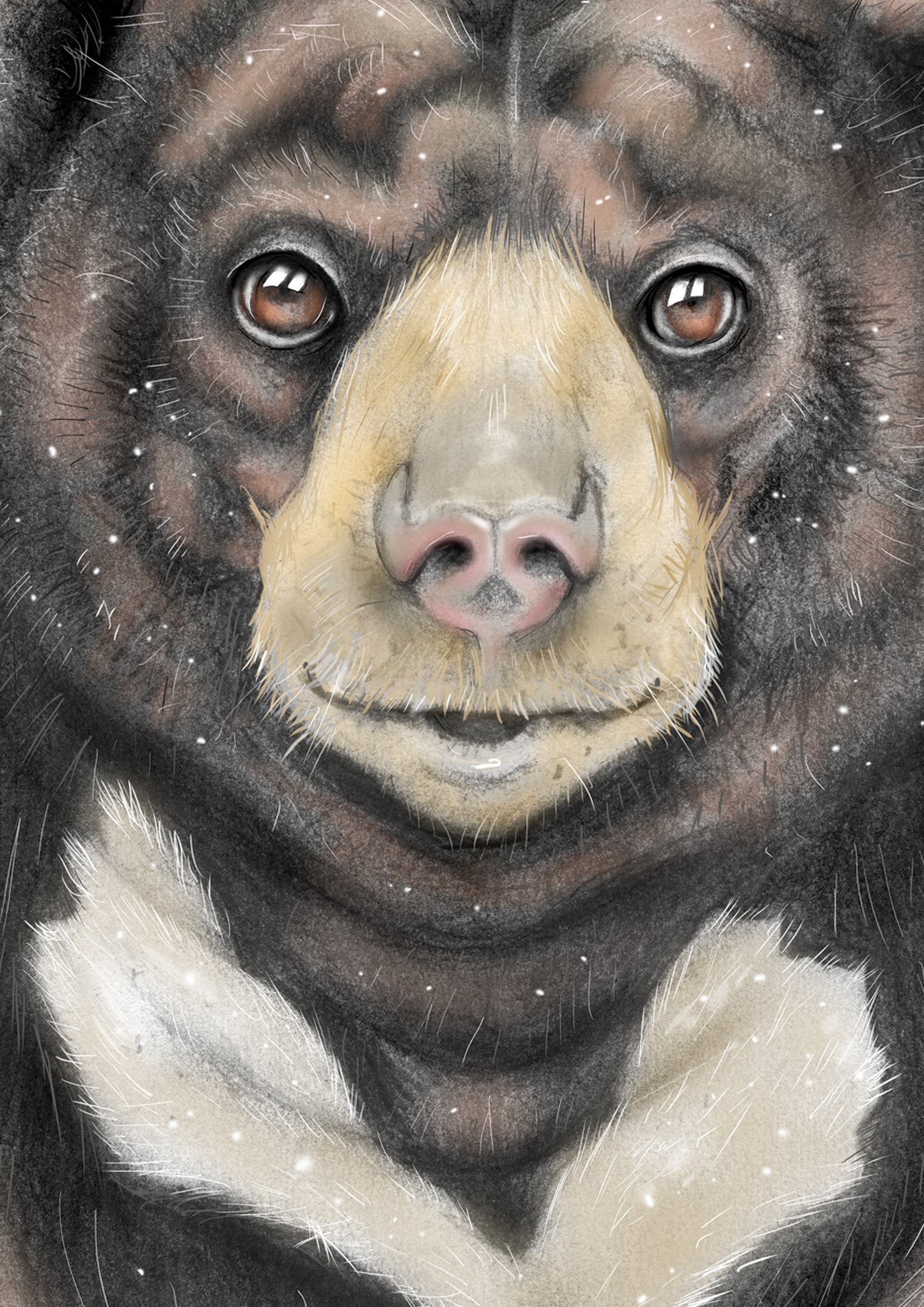 Sonny the Sun Bear