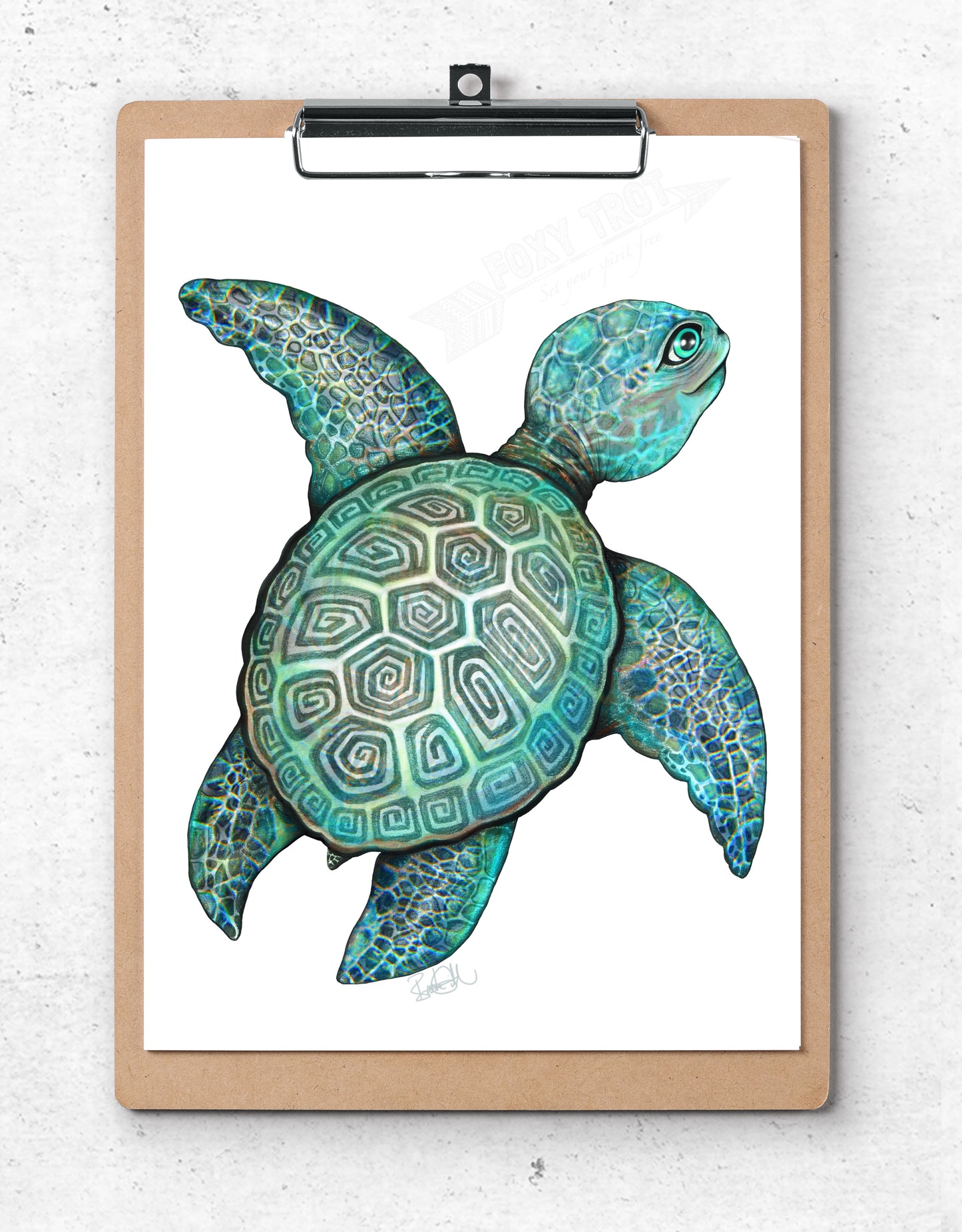 Turtle