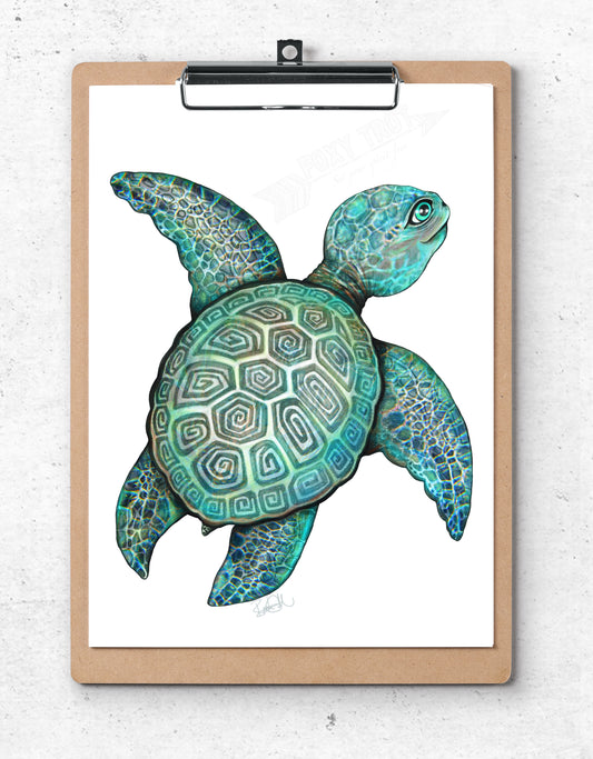 Turtle