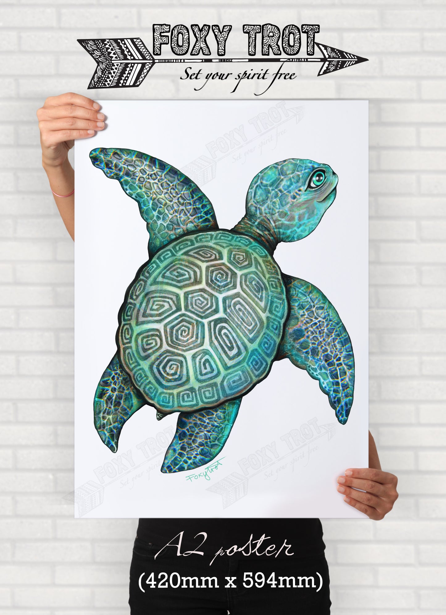 Turtle