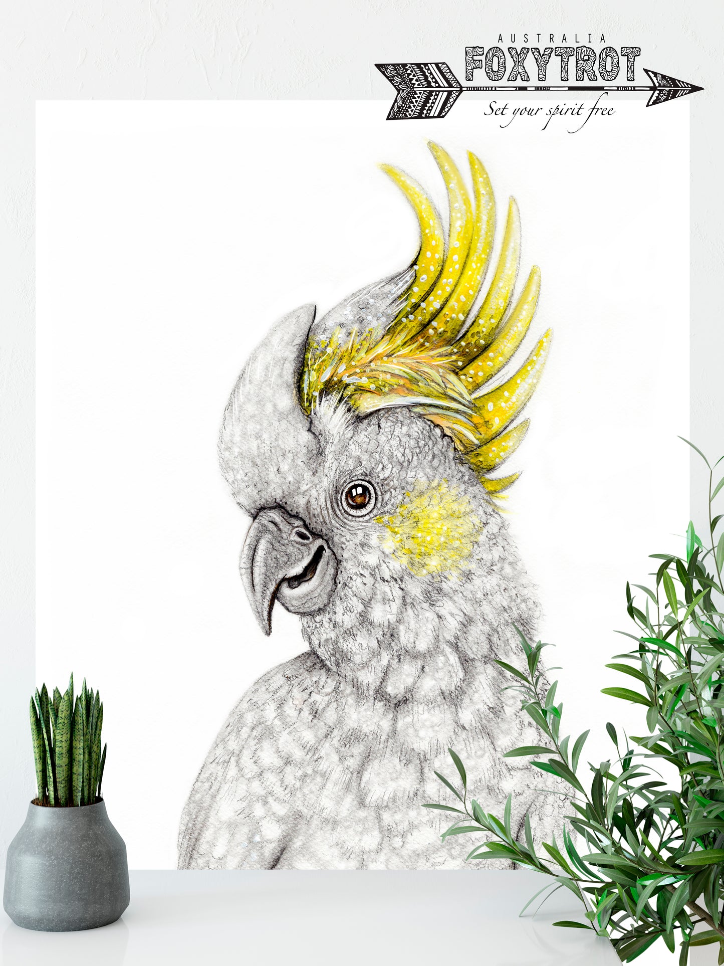 Sulphur Crested White Cockatoo