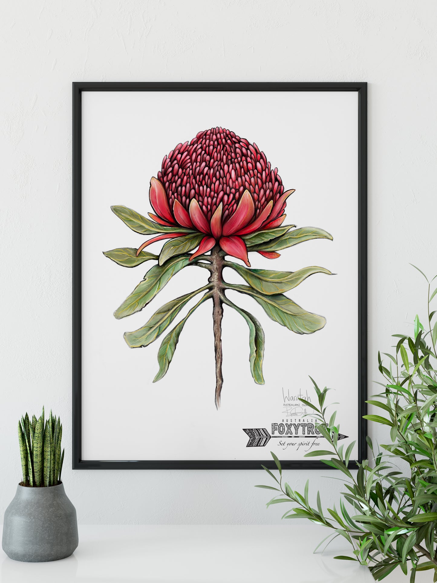 Waratah