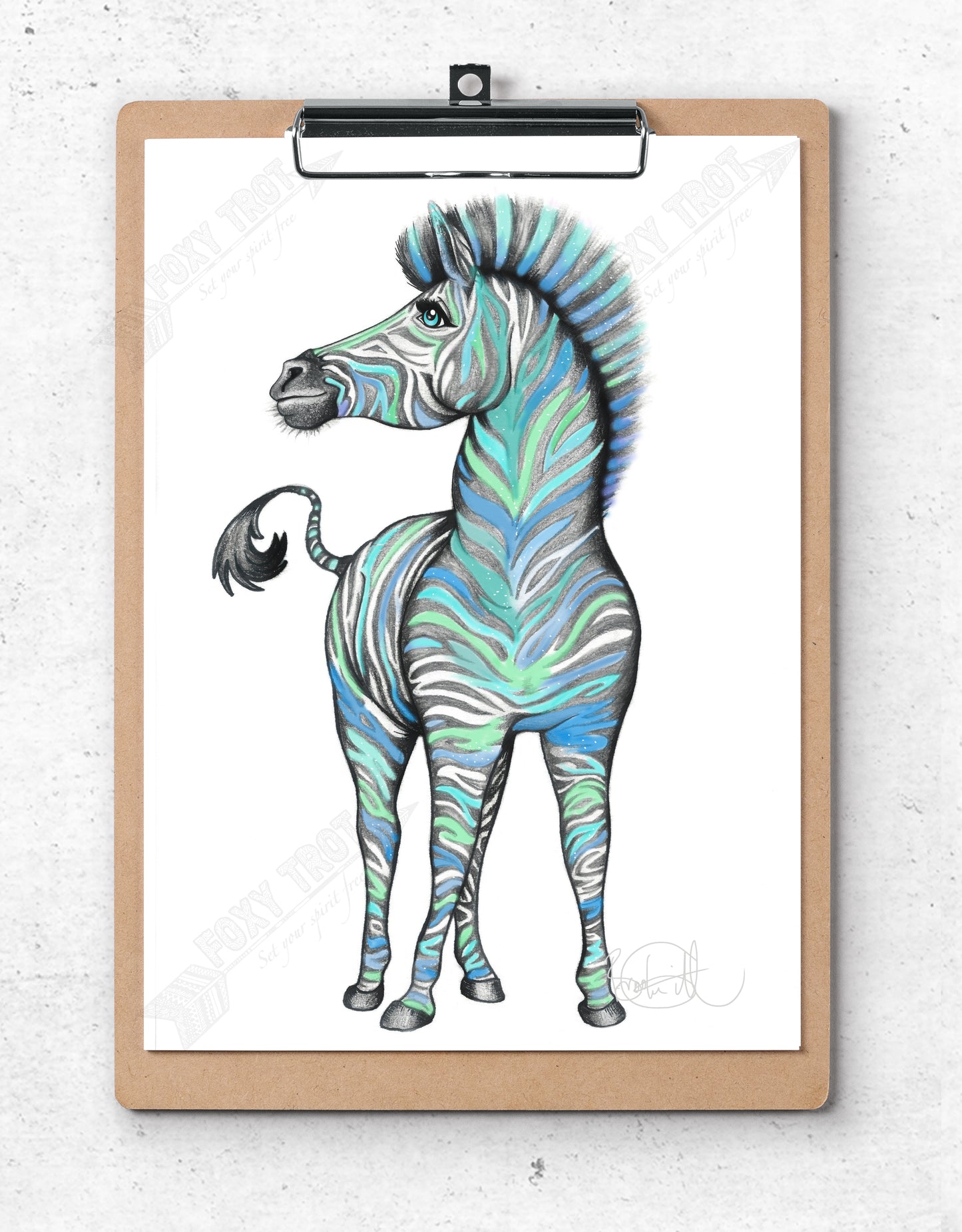 Zebra