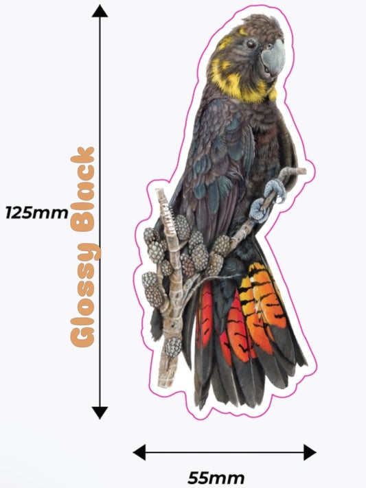 Female Glossy Black Cockatoo Vinyl Sticker