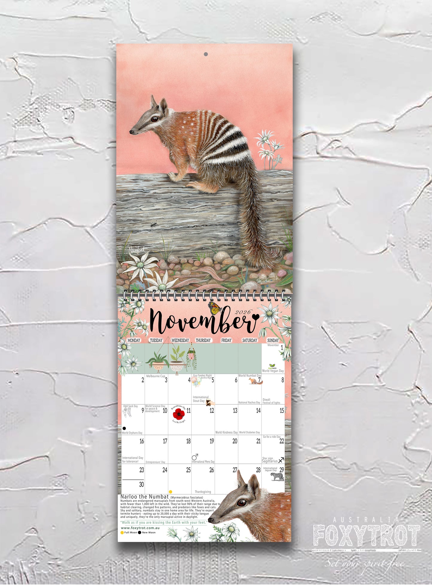 2026 Calendar - All Things Australian