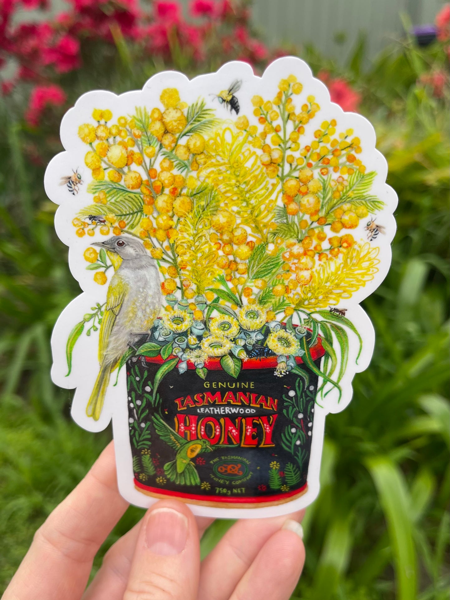 Tasmanian Honey Pot Vinyl Sticker