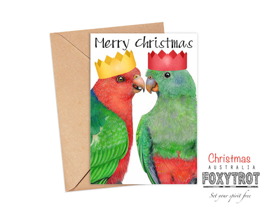 King Parrot Christmas Card