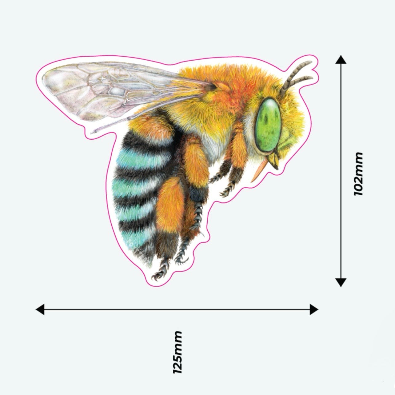 Blue Banded Bee Vinyl Sticker