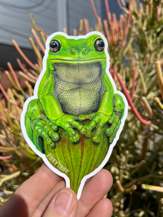 Green Tree Frog Vinyl Sticker