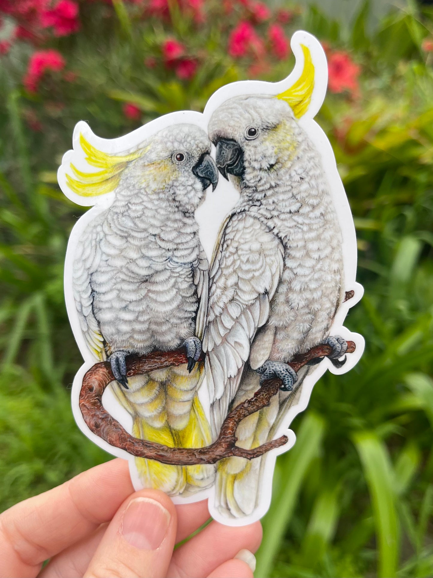 Sulphur Crested Cockatoos Vinyl Sticker
