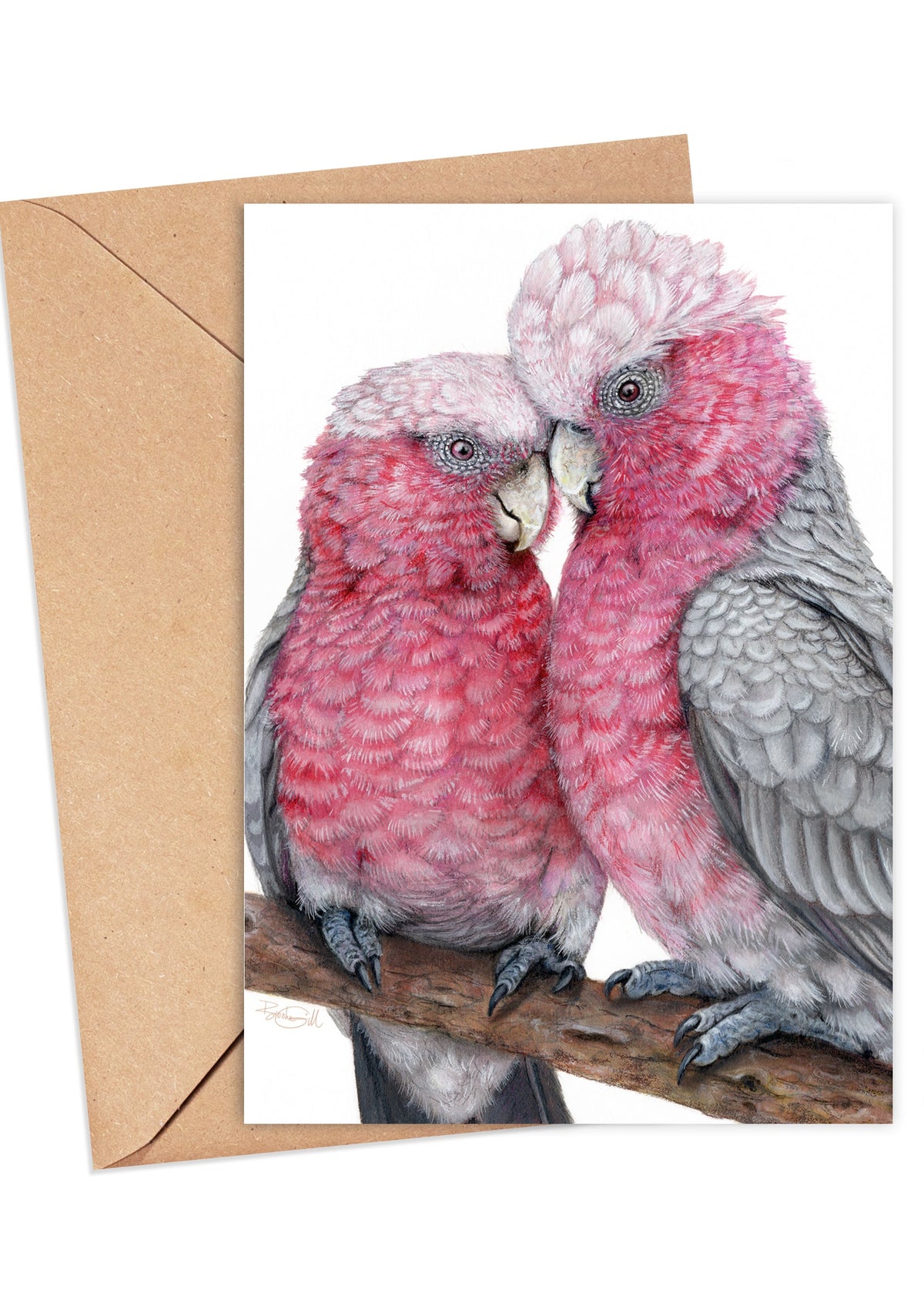 Galah Lovebirds Card