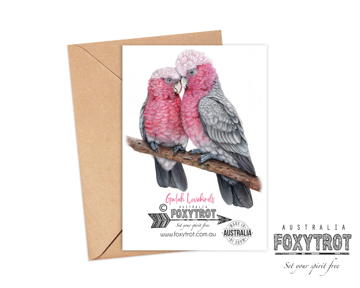 Galah Lovebirds Card