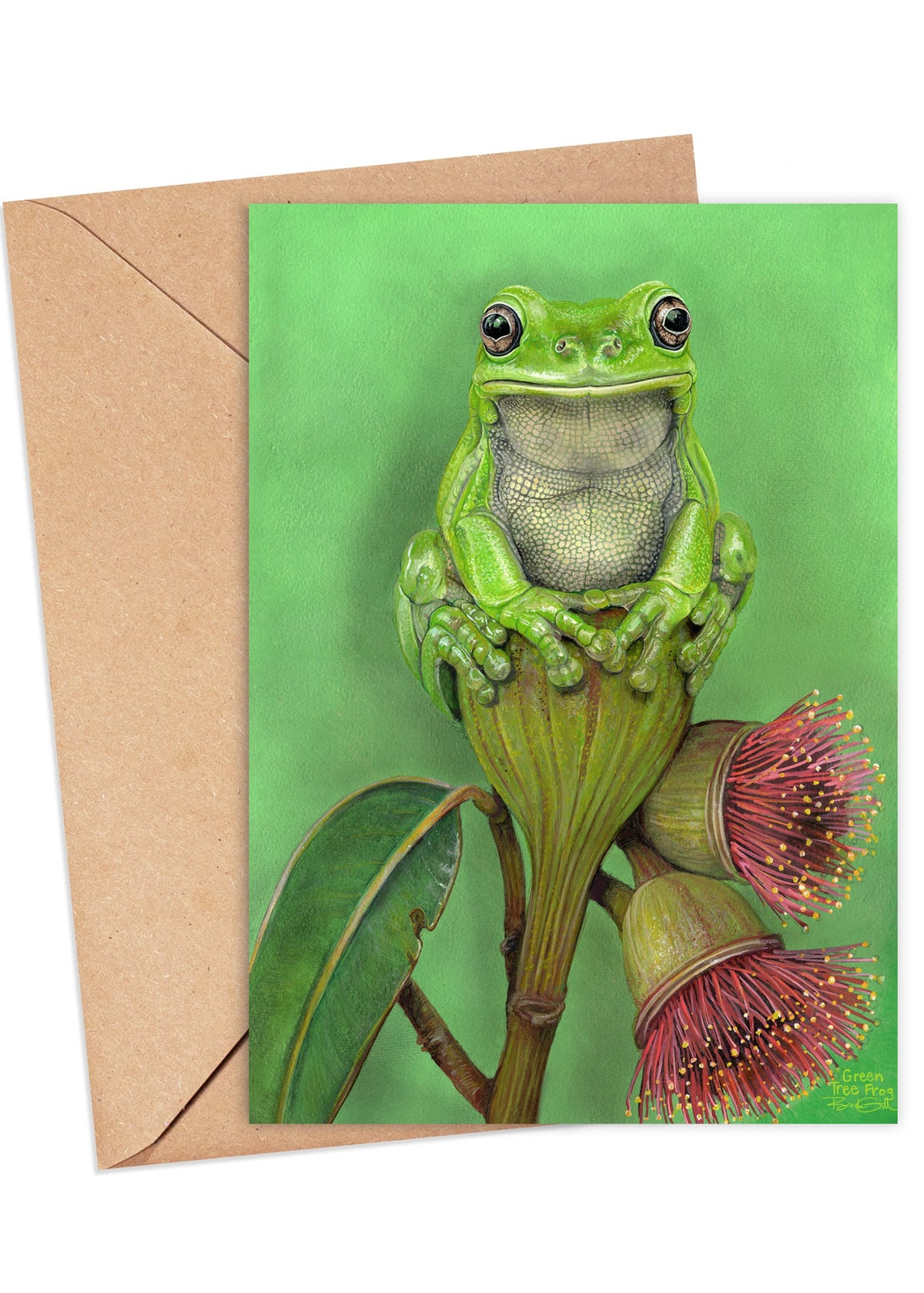 Green Tree Frog Card
