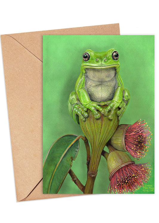 Green Tree Frog Card