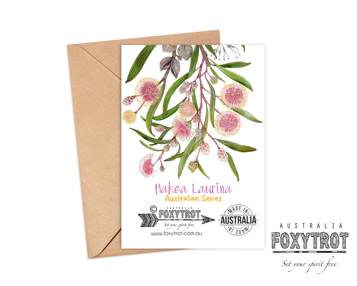 Hakea laurina Card