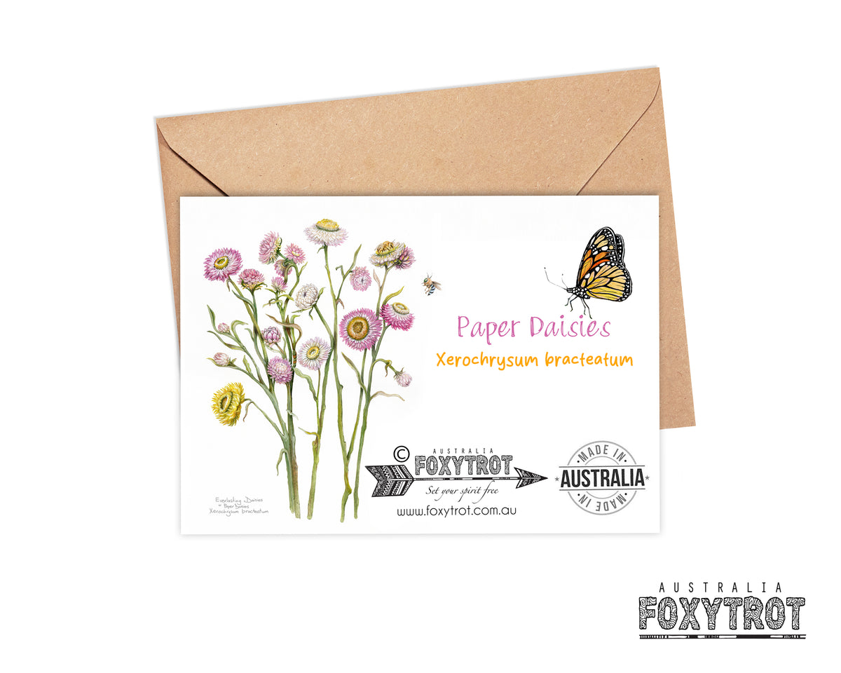 Paper Daisies Card