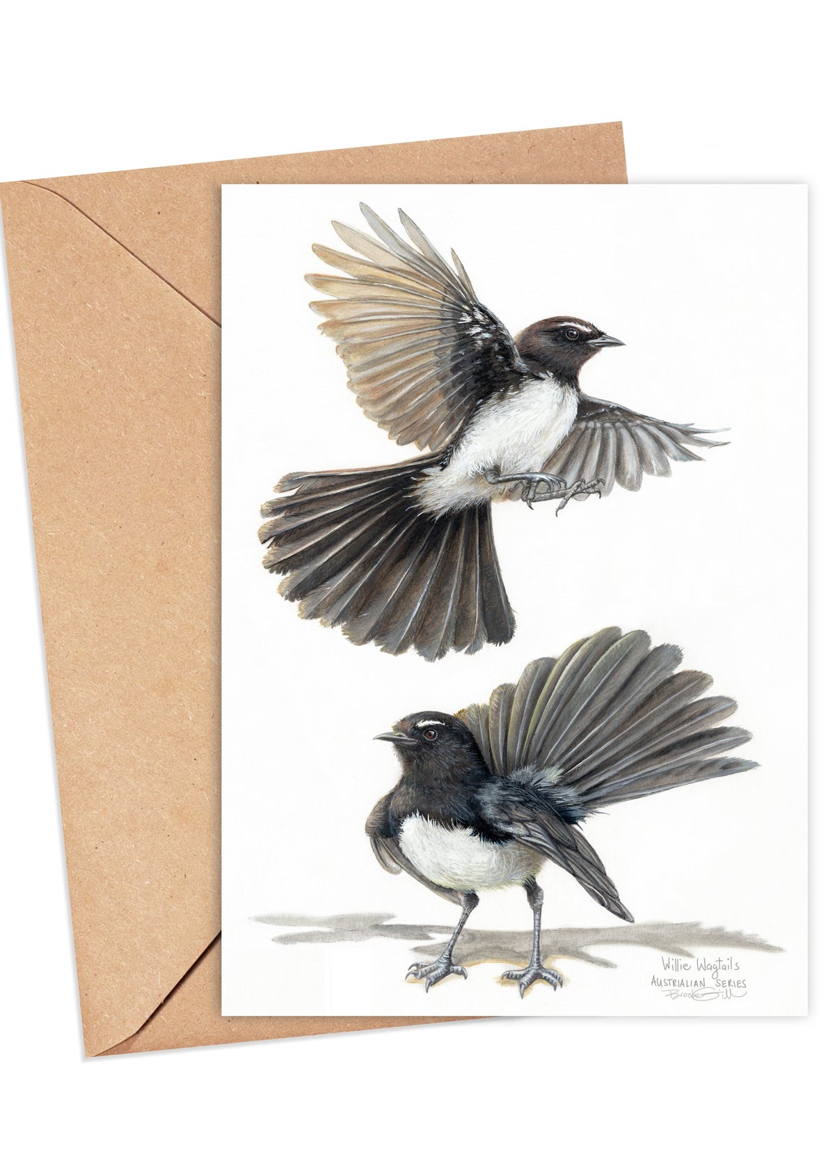 Willie Wagtails Card