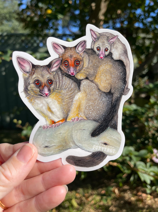 Brush Tailed Possums Vinyl Sticker
