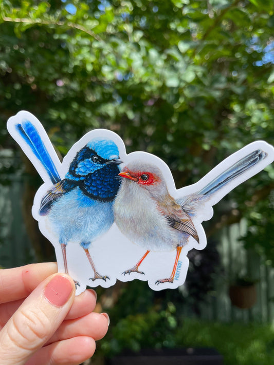 Superb Fairy Wren Vinyl Sticker