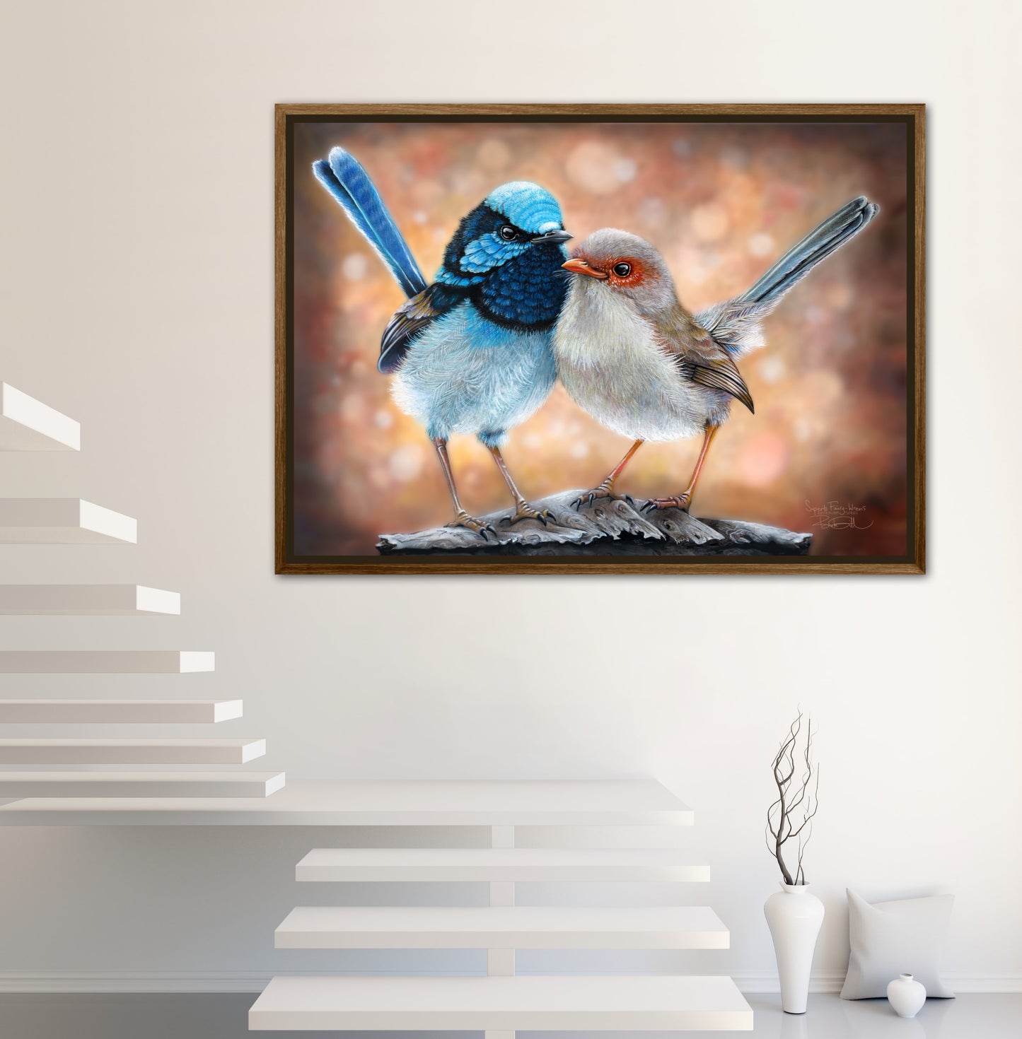 Superb Fairy Wrens