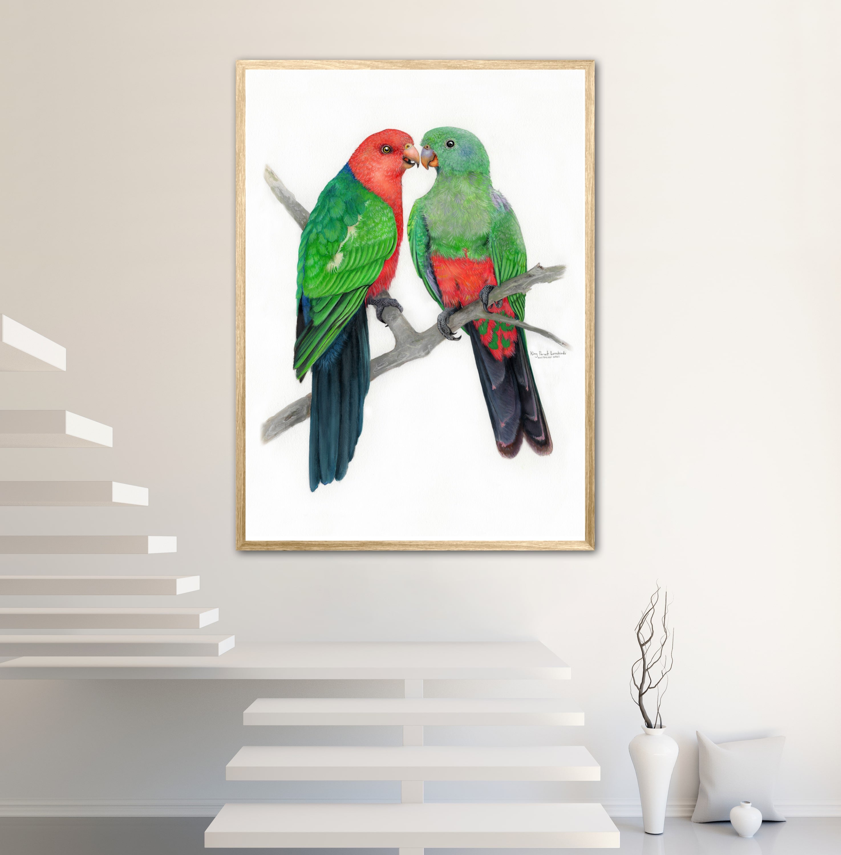 King Parrot Lovebirds