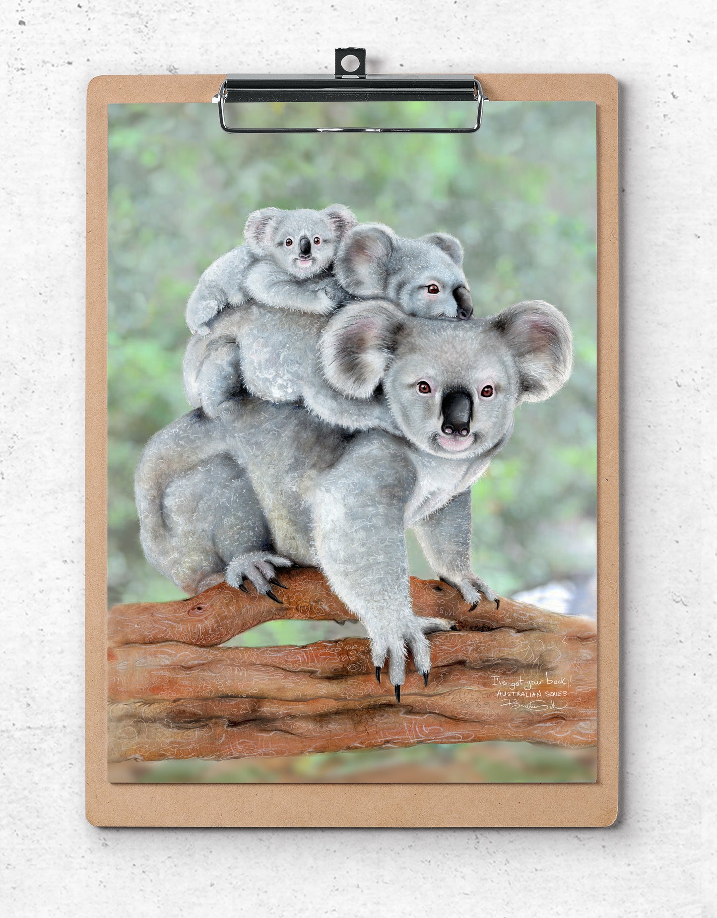 I've Always Got Your Back! Koala Family