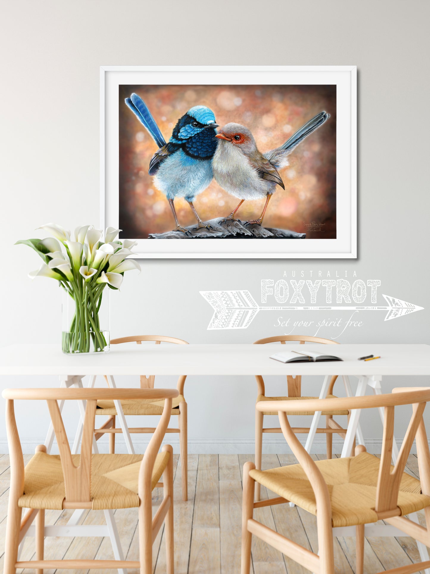 Superb Fairy Wrens