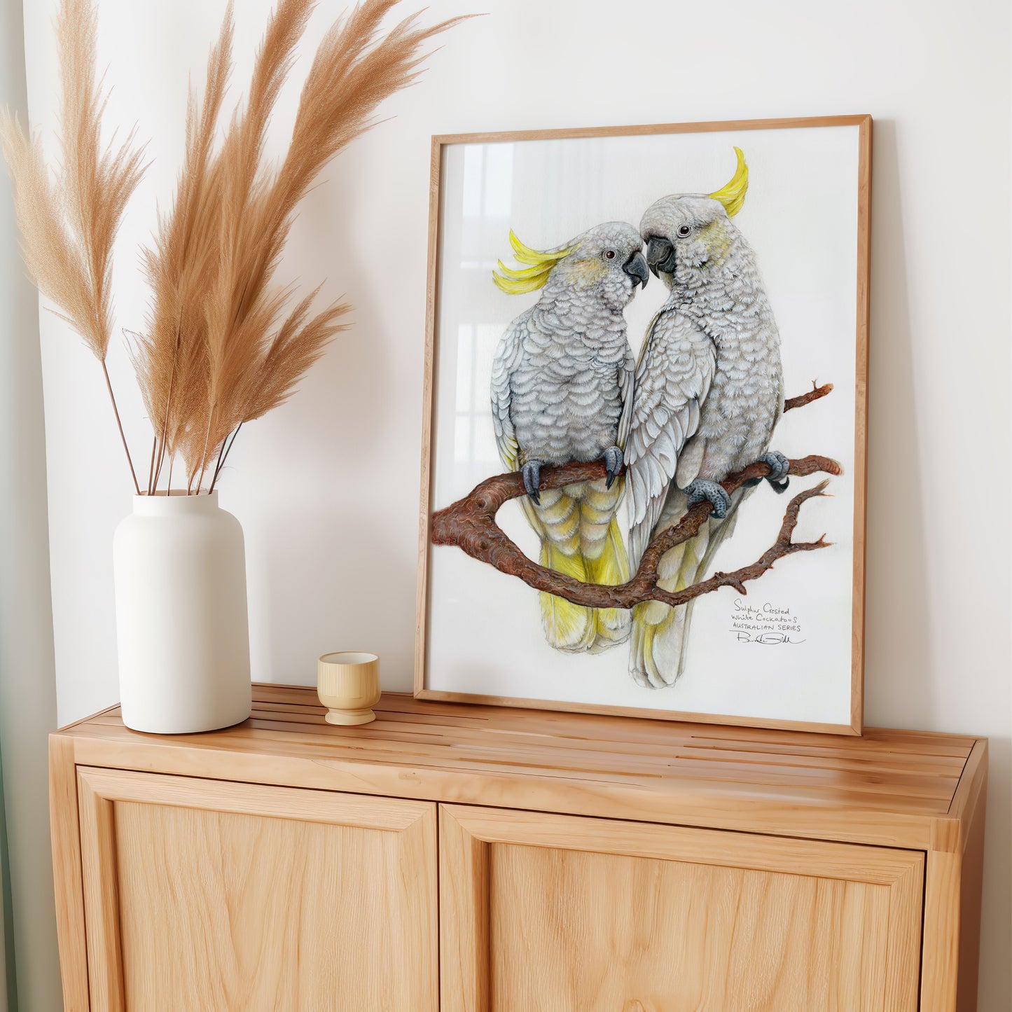 Sulphur Crested Cockatoos