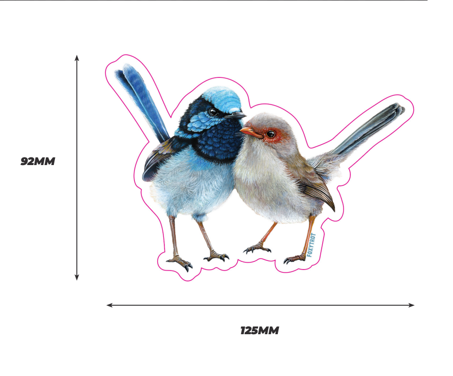 Superb Fairy Wren Vinyl Sticker