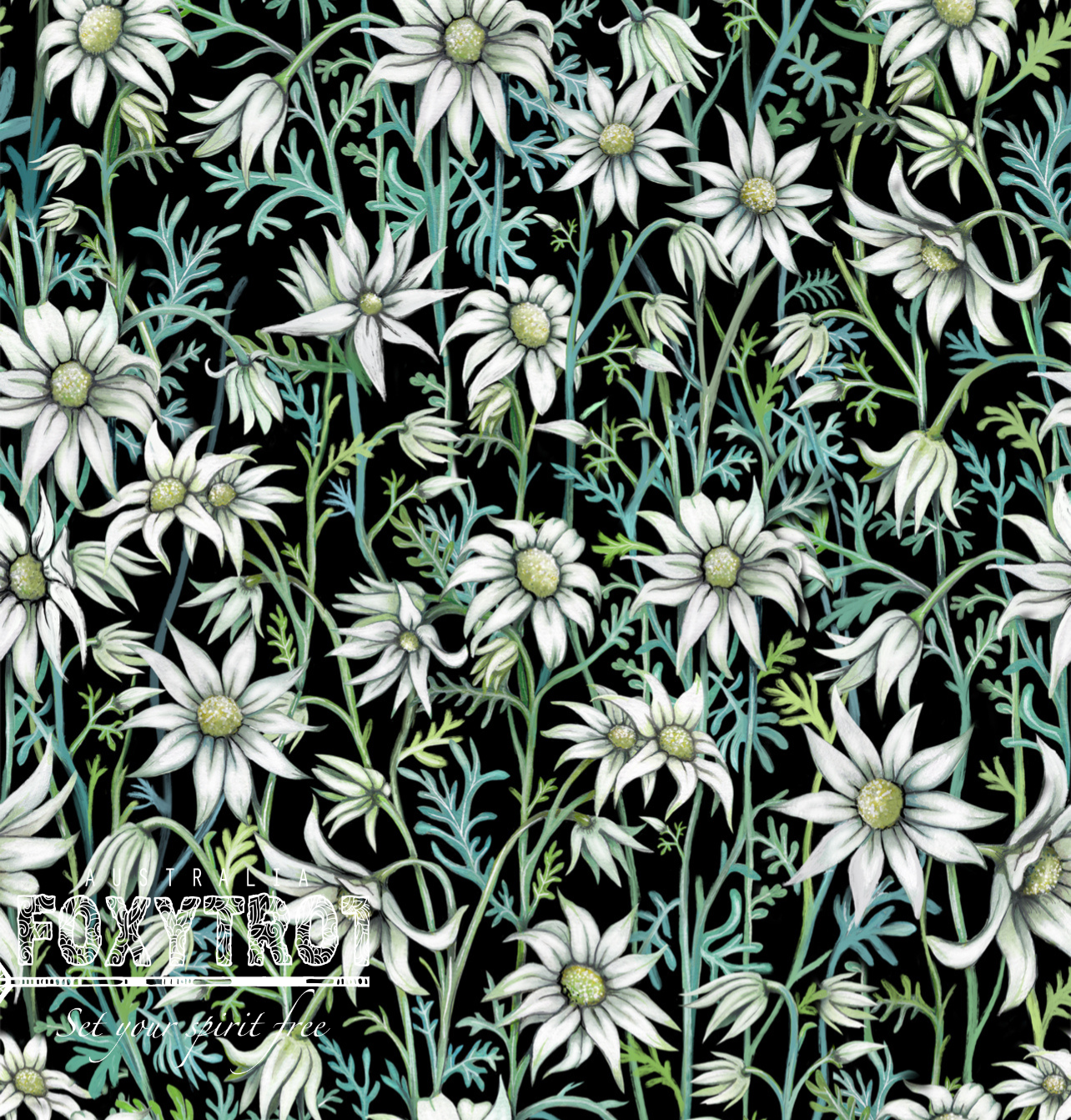 Australian made Flannel Flower wrapping Paper