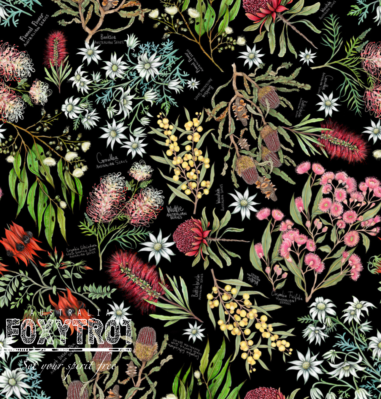 Australian Botanics wrapping Paper