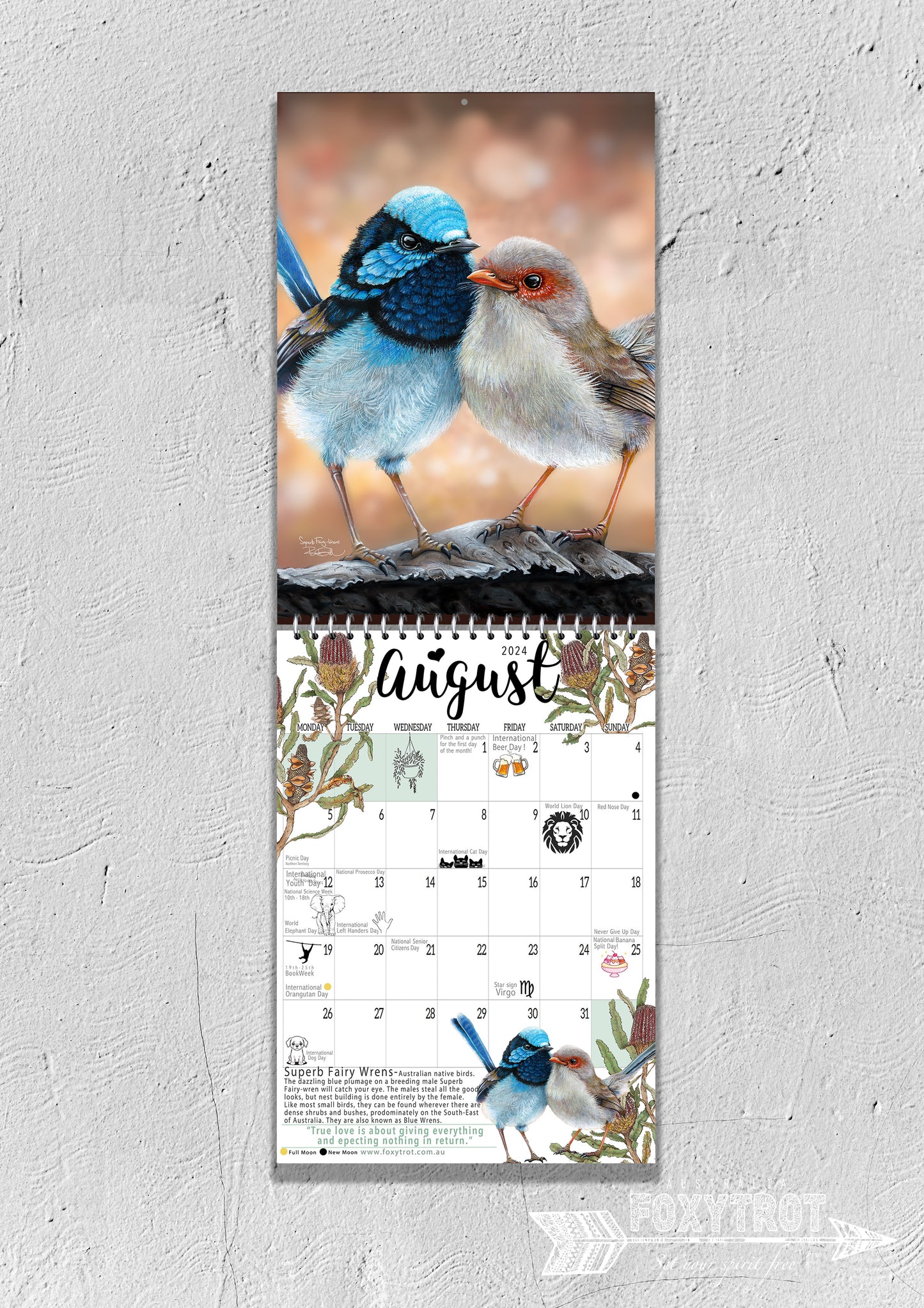 Superb Fairy Wrens