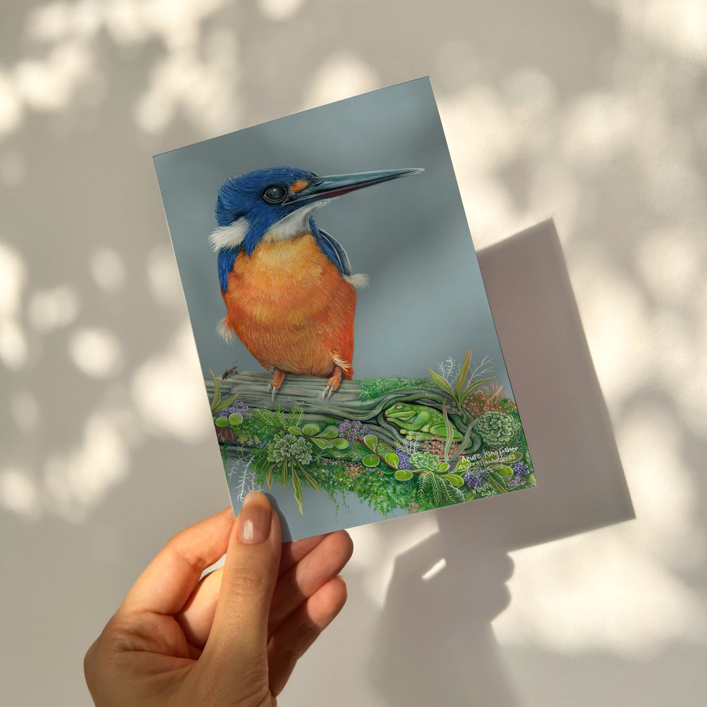 Azure Kingfisher Card