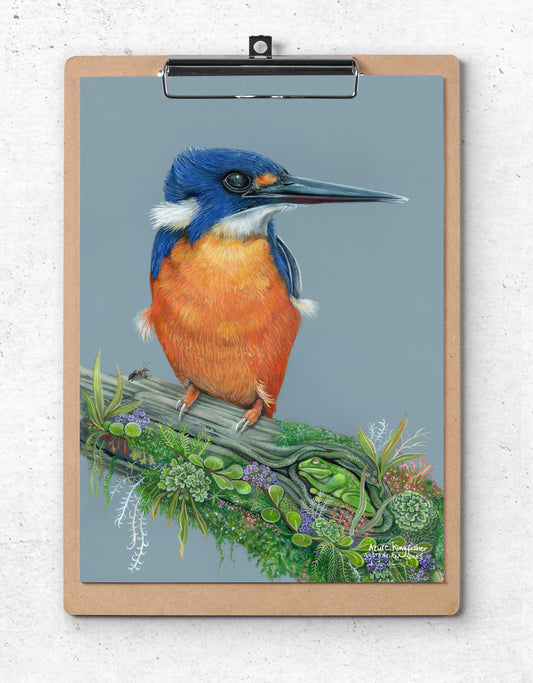 Azure Kingfisher