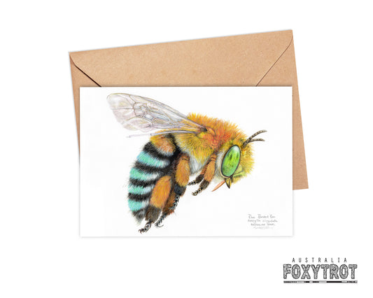 Blue Banded Bee Card