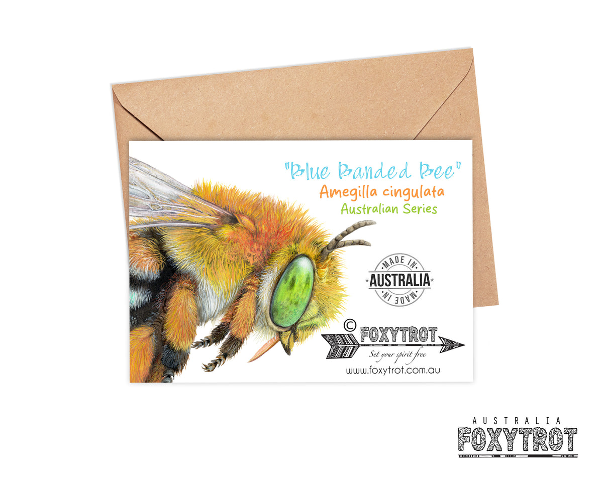 Blue Banded Bee Card