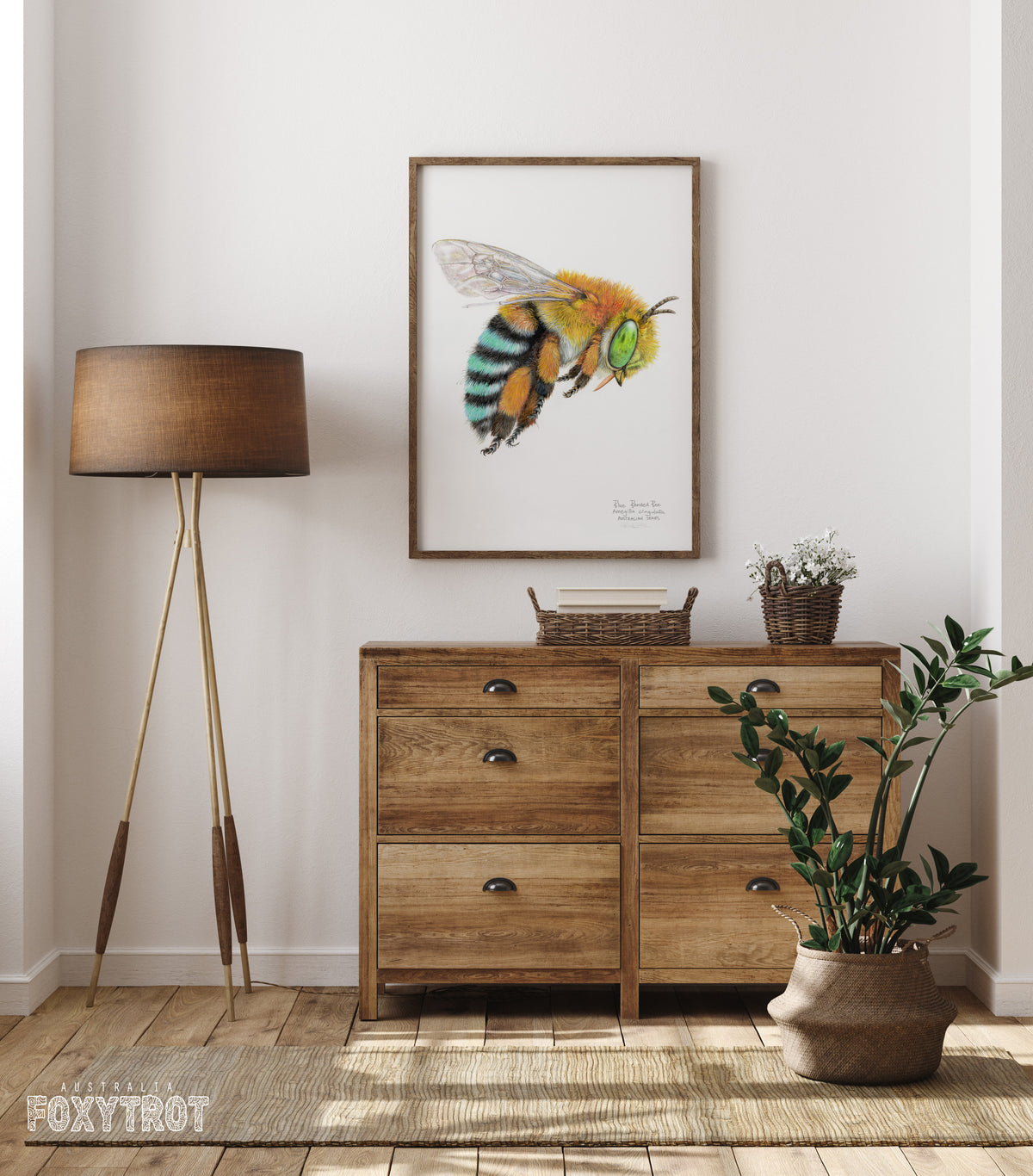 Blue Banded Bee