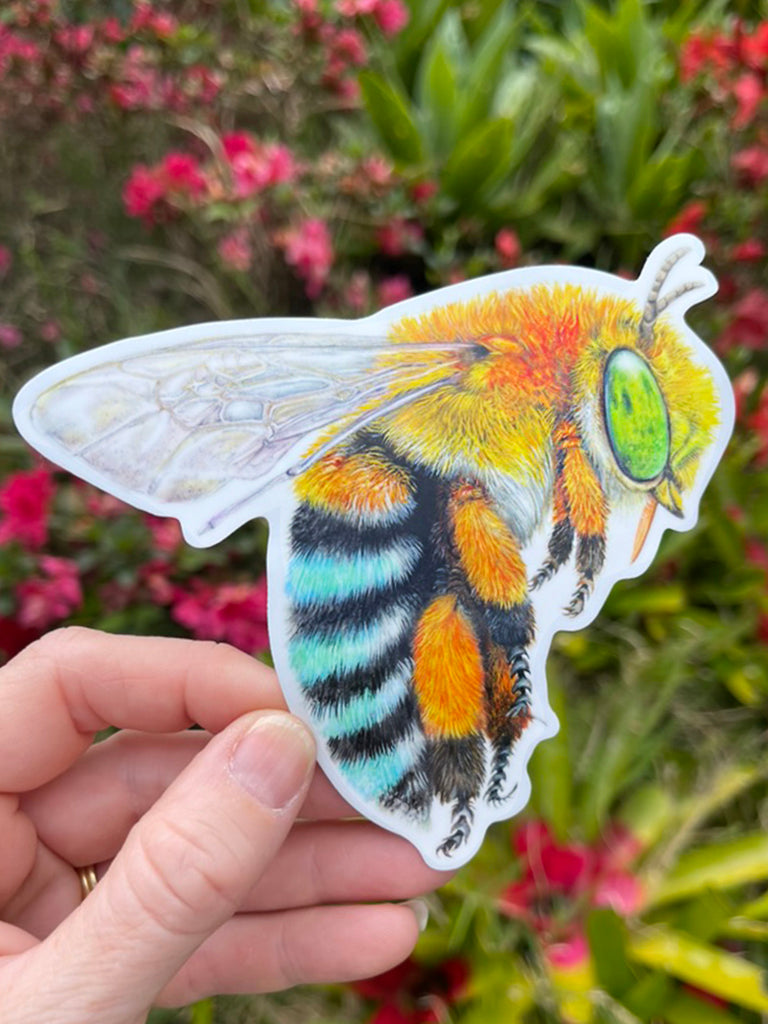 Blue Banded Bee Vinyl Sticker