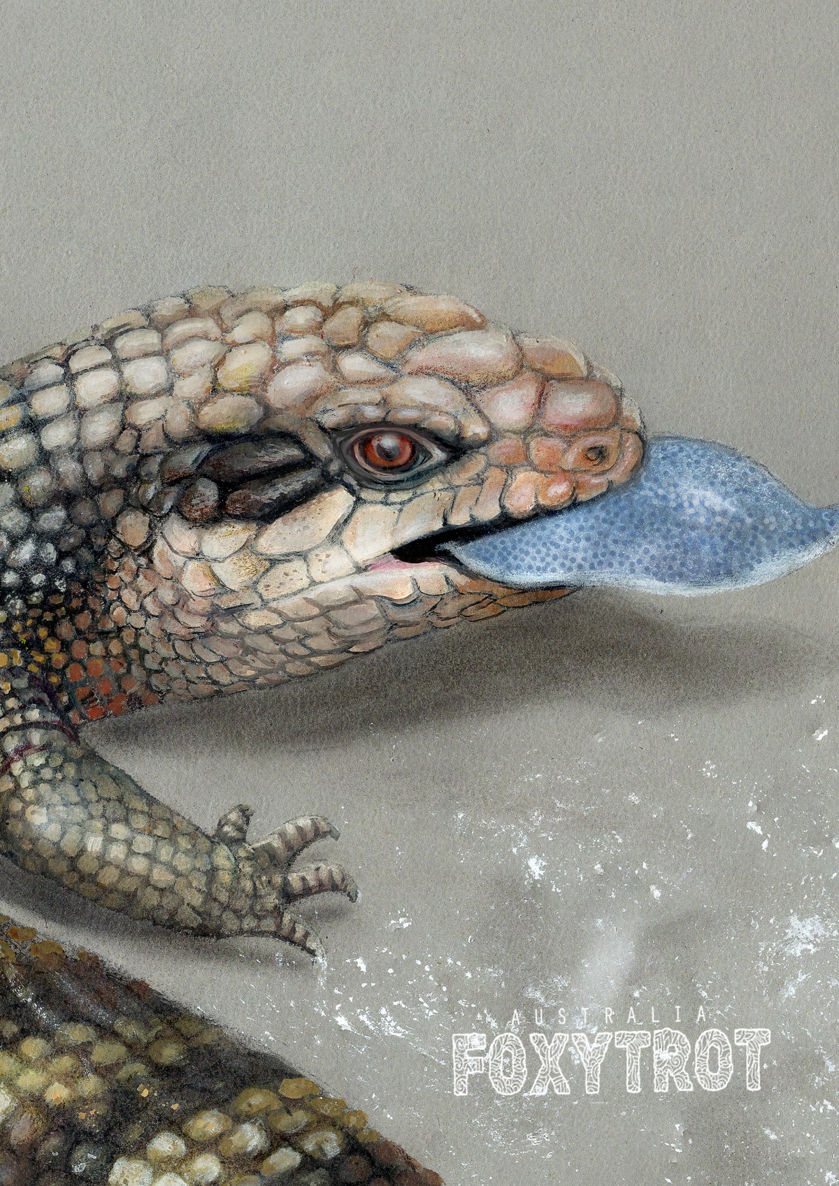 Eastern Blue Tongue Lizard