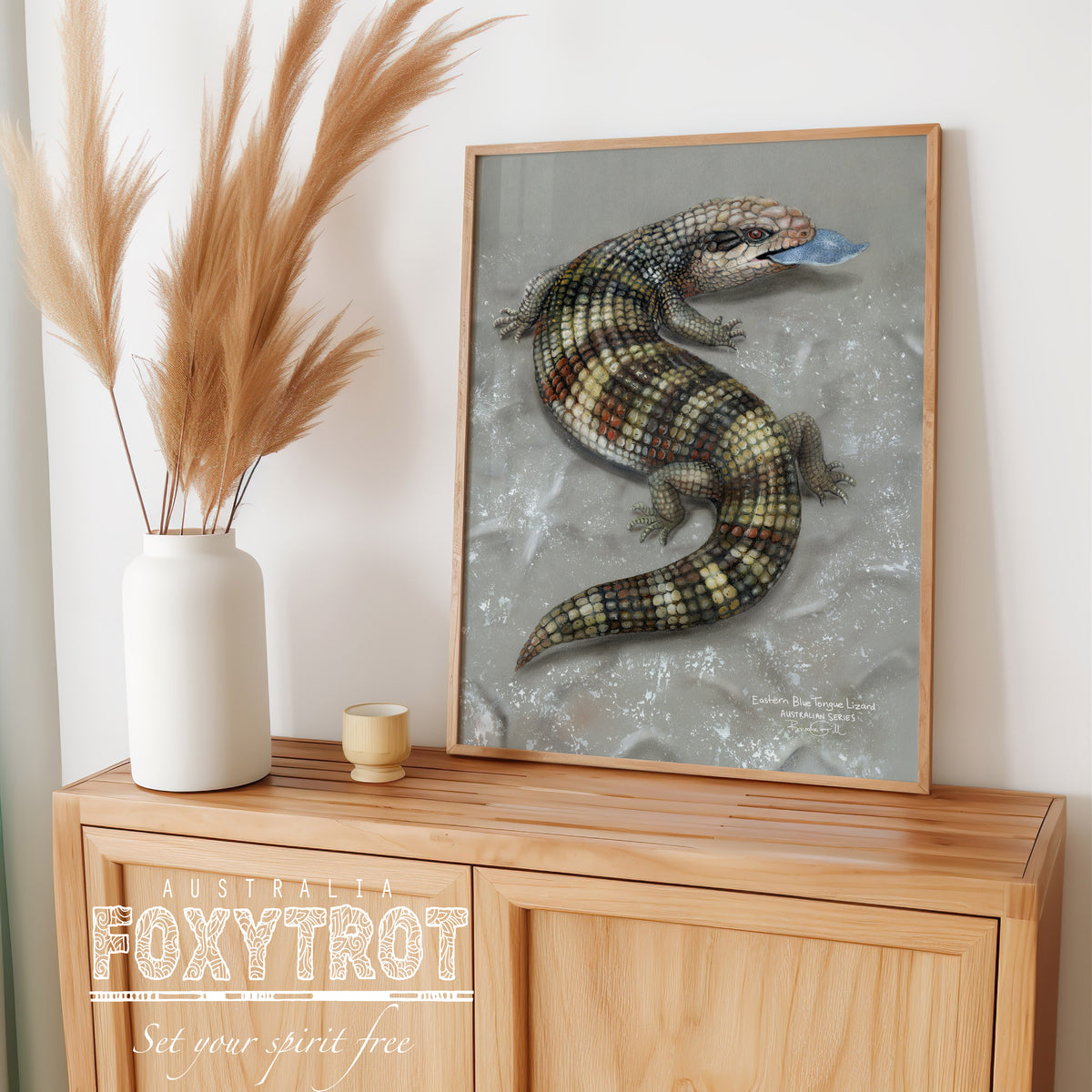 Eastern Blue Tongue Lizard