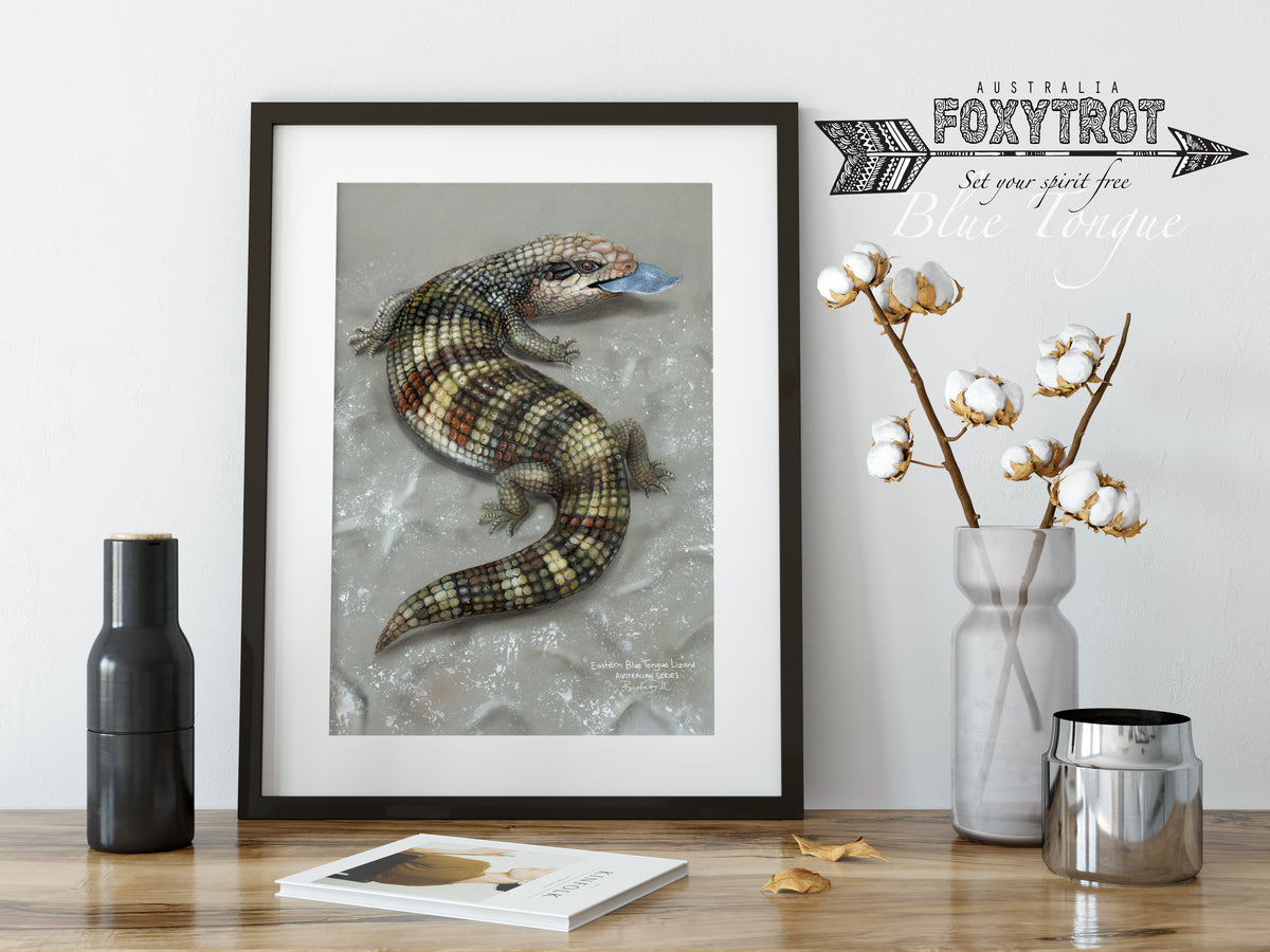 Eastern Blue Tongue Lizard